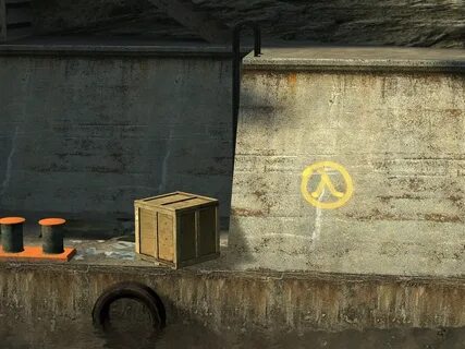 Rot life