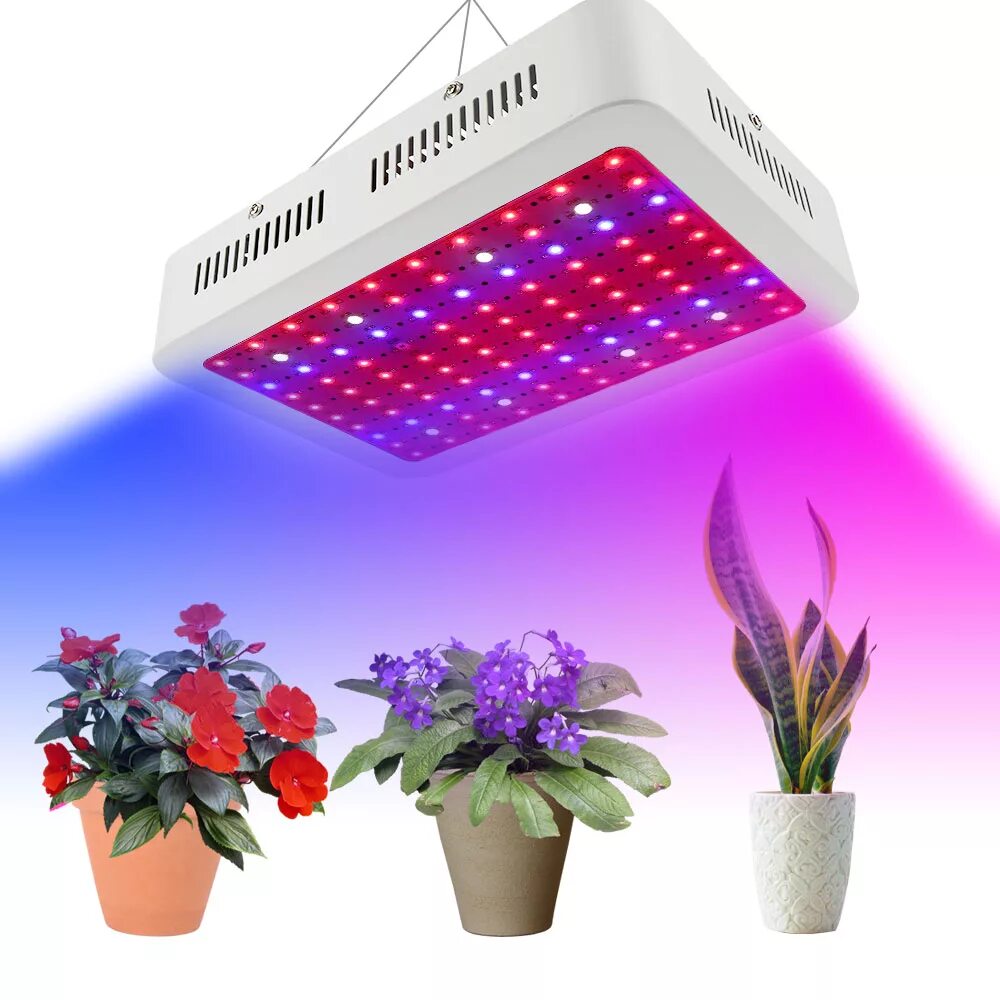 Диодные лампы для растений. 1000w led grow light лампа для растений. led лампы для растений 600w. фитолампа supergrow 216led switch. фитолампа 1000w.