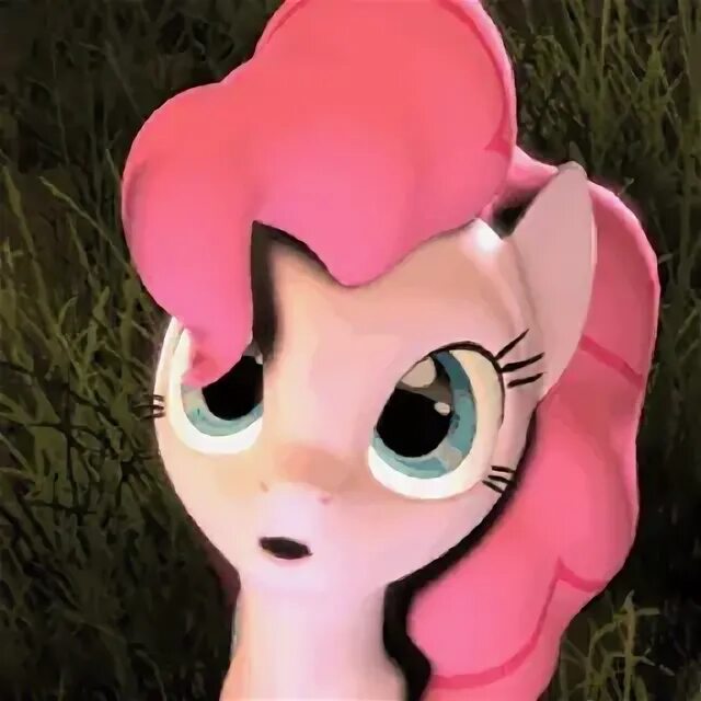 Sfm telegram. Пони sfm. 2017 pony sfm.