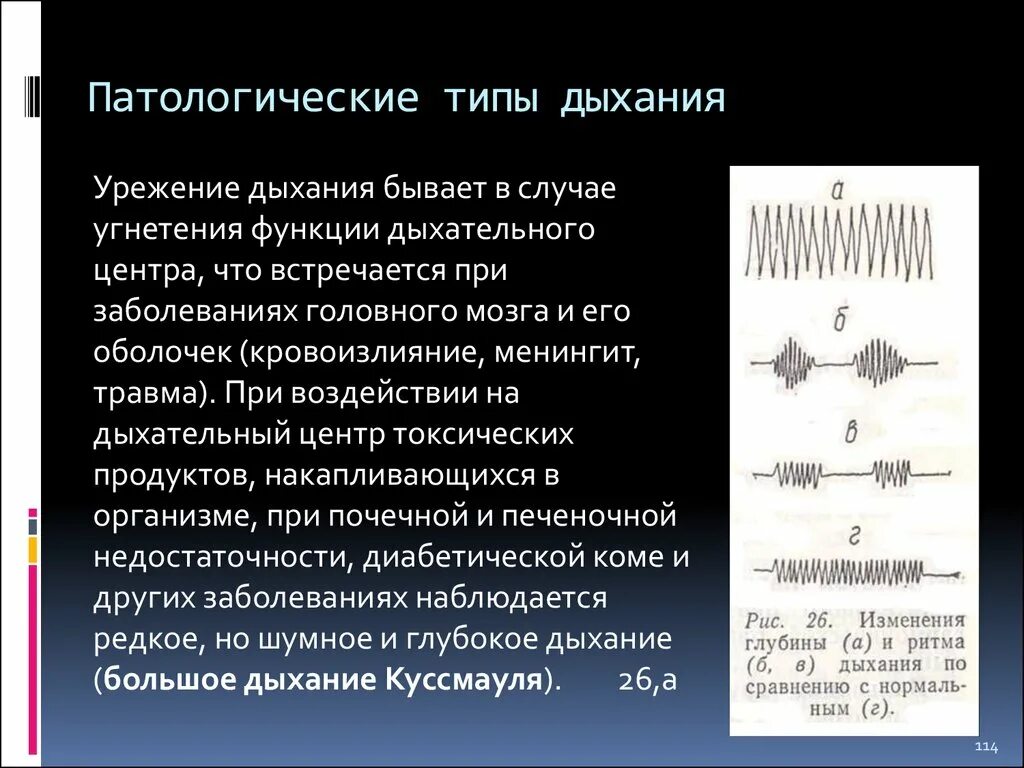 Какой тип дыхания. Патологические типы дыхания. Патологические типы дых. Патологический типы дыхаги. Перечислите типы дыхания.