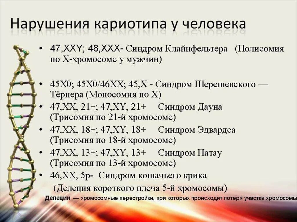 Синдром дауна генотип и фенотип. Кариотип здорового человека формула. хромосомы кариотип. нарушение кариотипа у человека. кариотипы синдромов.