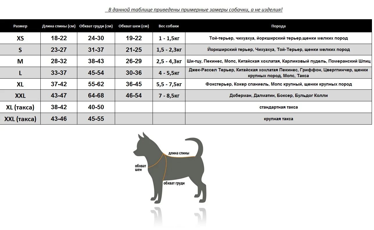 Как посчитать сколько собаке. Размерная сетка для собак мелких пород Джек Рассел. Размер шлейки Джек Рассел 2-3 месяца. Размерная сетка для собак мелких пород Цвергпинчер. Таблица размера ошейников для собак Джек Рассела.