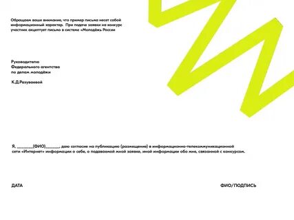 Заявка на грант росмолодежь 2024