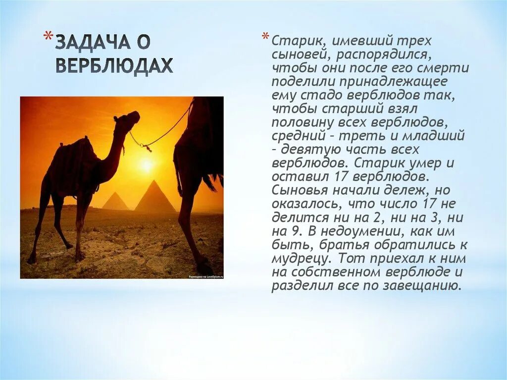 Мой сын ездил на верблюде