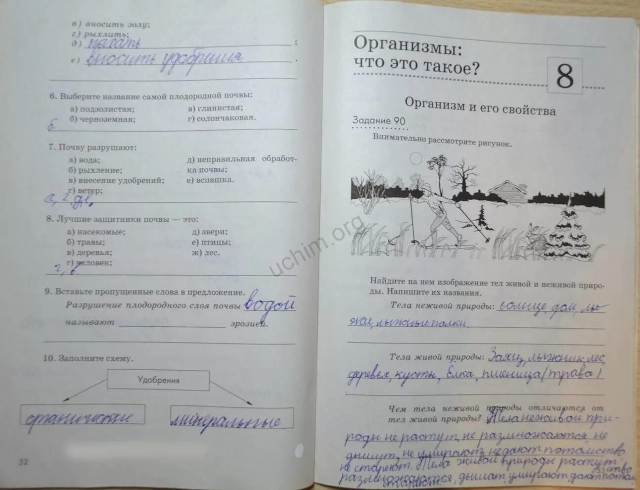 Контрольная работа по естествознанию 5 класс. Контрольная работа по естествознанию 5 класс