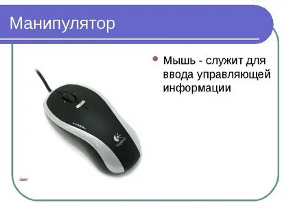 Что понимается под термином мышь