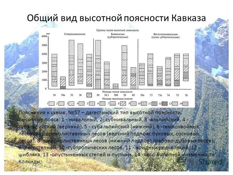 Высотная поясность Западного Кавказа. Высотные пояса восточного Кавказа.