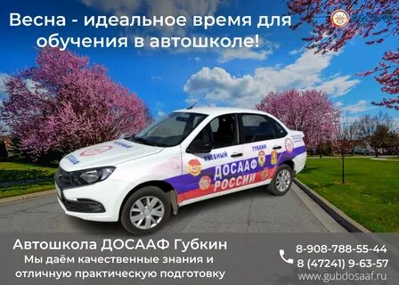 Обучение в автошколе досааф