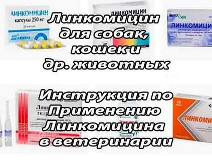 Линкомицин животным инструкция