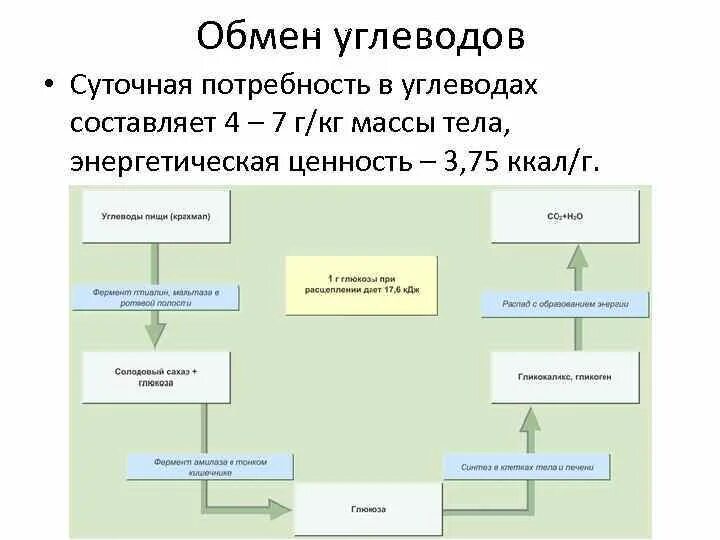 Конечные продукты обмена у человека. Таблица обмена углеводов в организме. Схема обмена веществ углеводов. Обмен углевода схема процесса. Хема обмена углеродов.