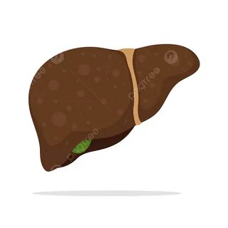 Печень печень печенюшка