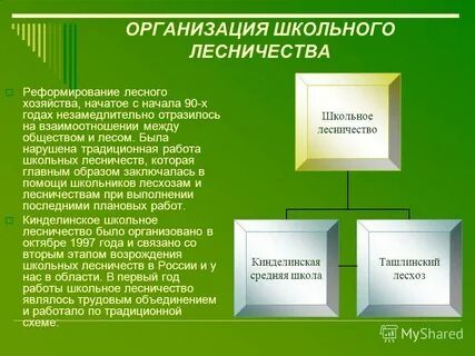 Лесничества презентация
