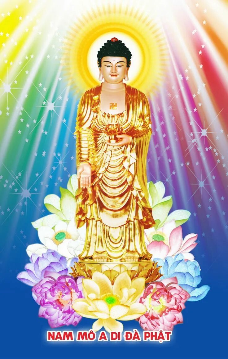 Принцесса дзен. Будда Амитабха изображение. Будда Амитабха арт. Anh phat. Anh phat dep nhat 50.