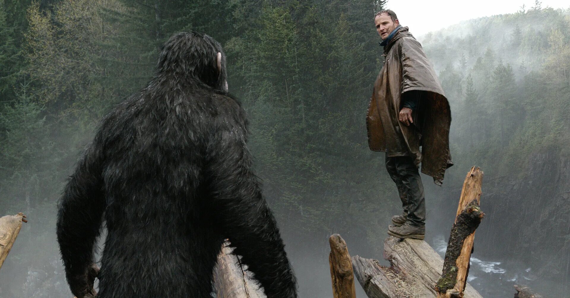 существа 2014. существа 2014. существа 2014. существа 2014. планета обезьян 2.