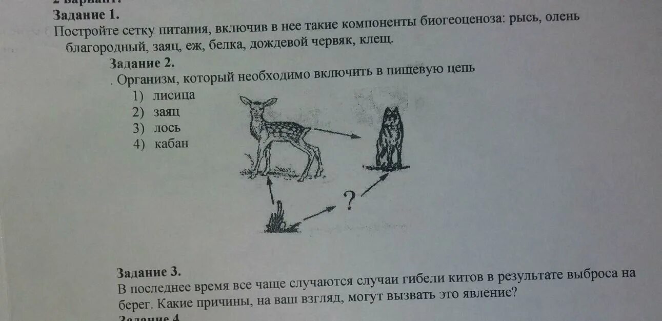 Тест 10 животных