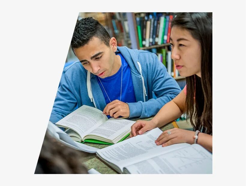 Study reader. Strategic studies a reader. uzbek studying png. the translation studies reader. studying png highs.