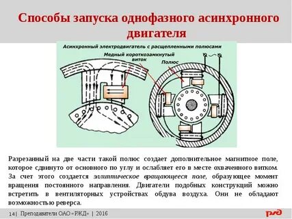 Экранированные полюса
