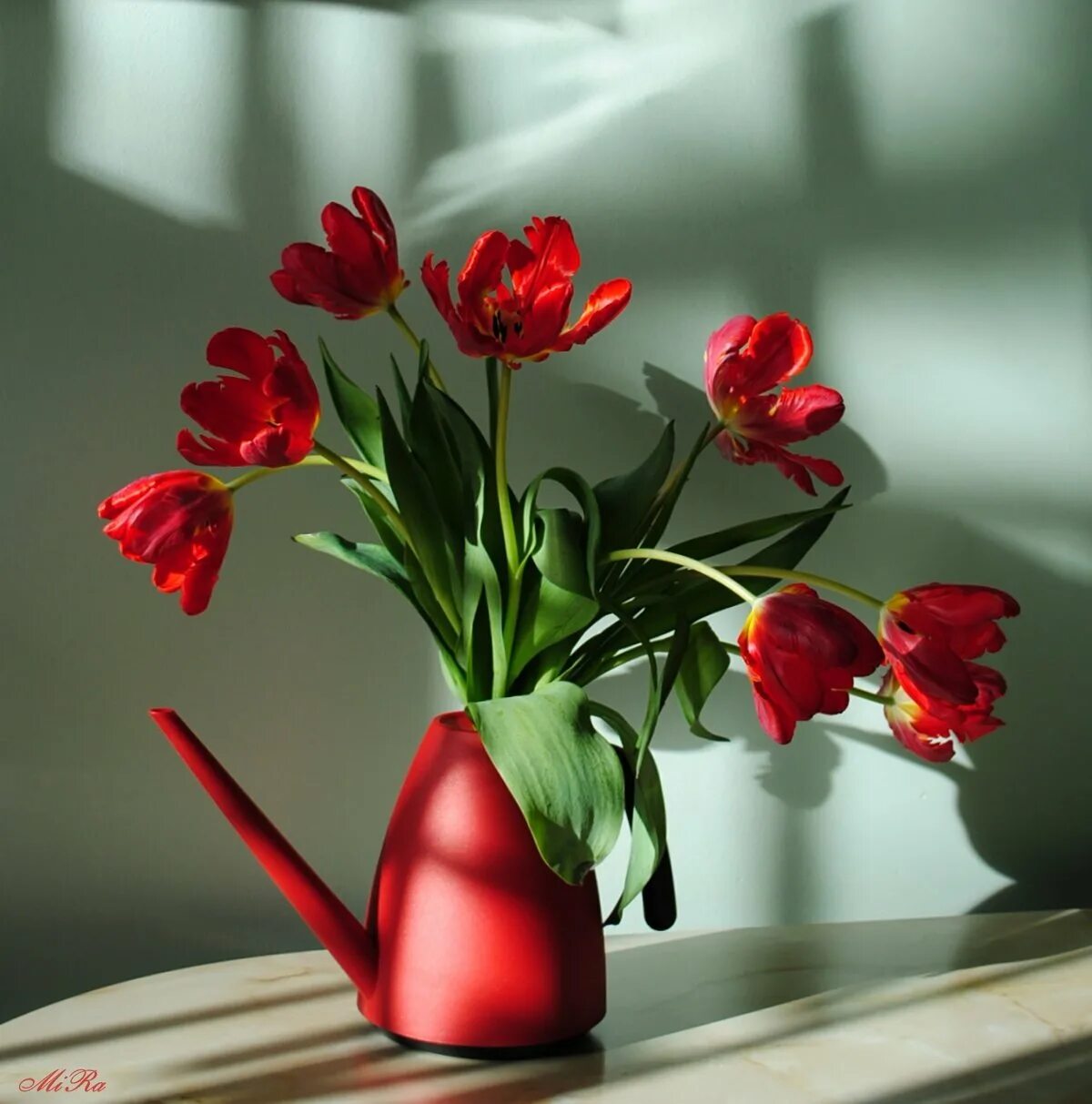 Сколько воды наливать тюльпанам в вазе. Красные тюльпаны. Тюльпаны в вазе. Цветы тюльпаны в вазе. Красные тюльпаны в вазе.
