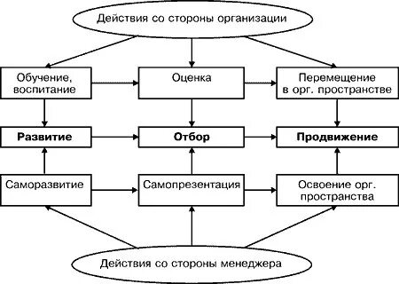 Организация процесса управления карьерой