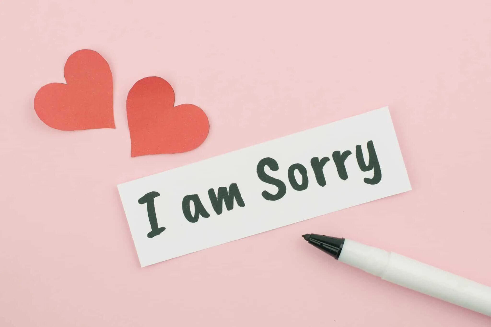 Sorry me. Креативная sorry. Бумажка im sorry. Sorry Love на листочке.