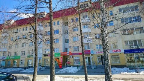 Студенческая 37