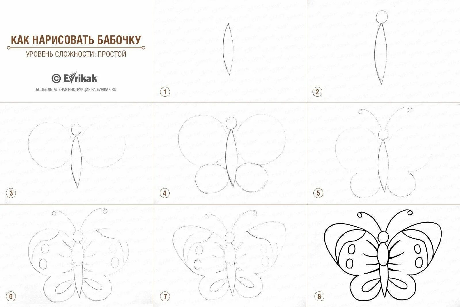 Бабочка рисунок карандашом. Пошаговое рисование бабочки. Рисуем бабочку поэтапно. Рисунки карандашом лёгкие для начинающих. Рисование для начинающих схемы