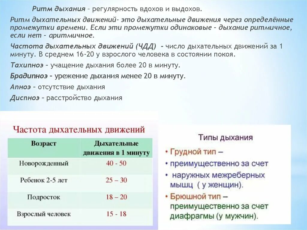 Дыхание сколько