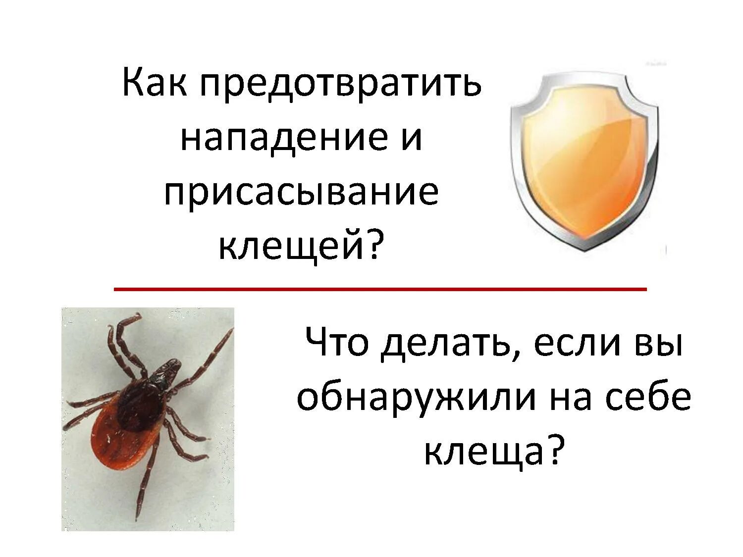 Если клеща потеряли что делать. Как вытащить клеща у человека самостоятельно. Как вытащить клеща с тела. Оказание первой помощи при укусах клещей. Что делать если голова клеща осталась.