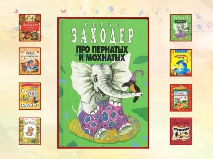 Заходера мохнатая