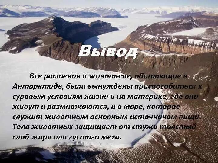 Так люди приспособились считать пользуясь тем что