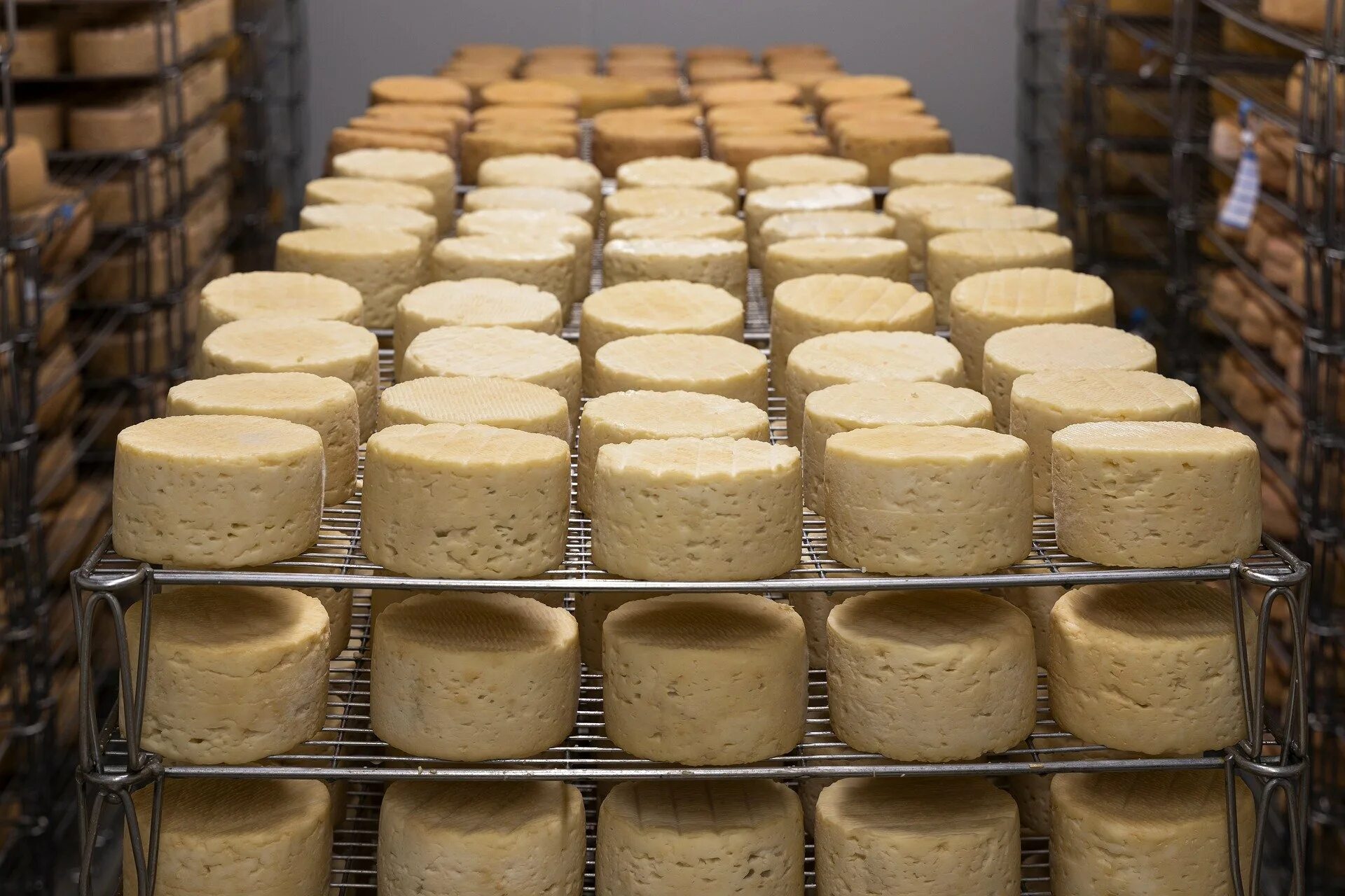 Где производится продукция. Сыр. Производители сыра. Сыр производители. Производство сыров.