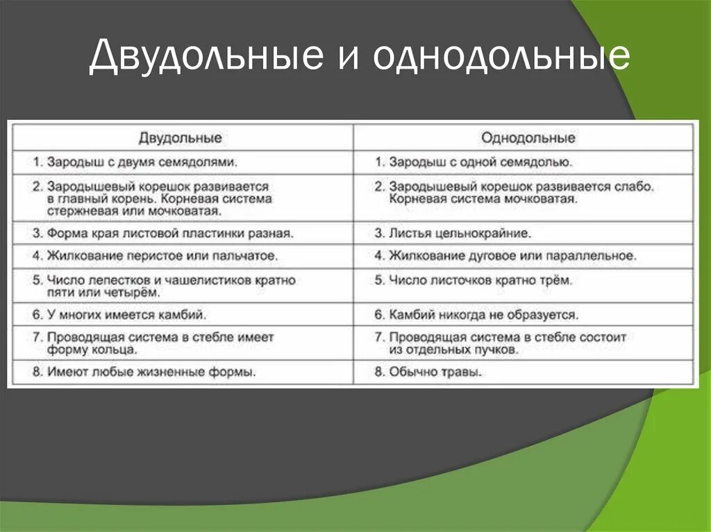 Как отличить двудольные от однодольных. Отличие однодольных растений от двудольных растений. Разница однодольных и двудольных растений таблица. Отличие однодольных от двудольных растений таблица. Однодольные и двудольные различия.