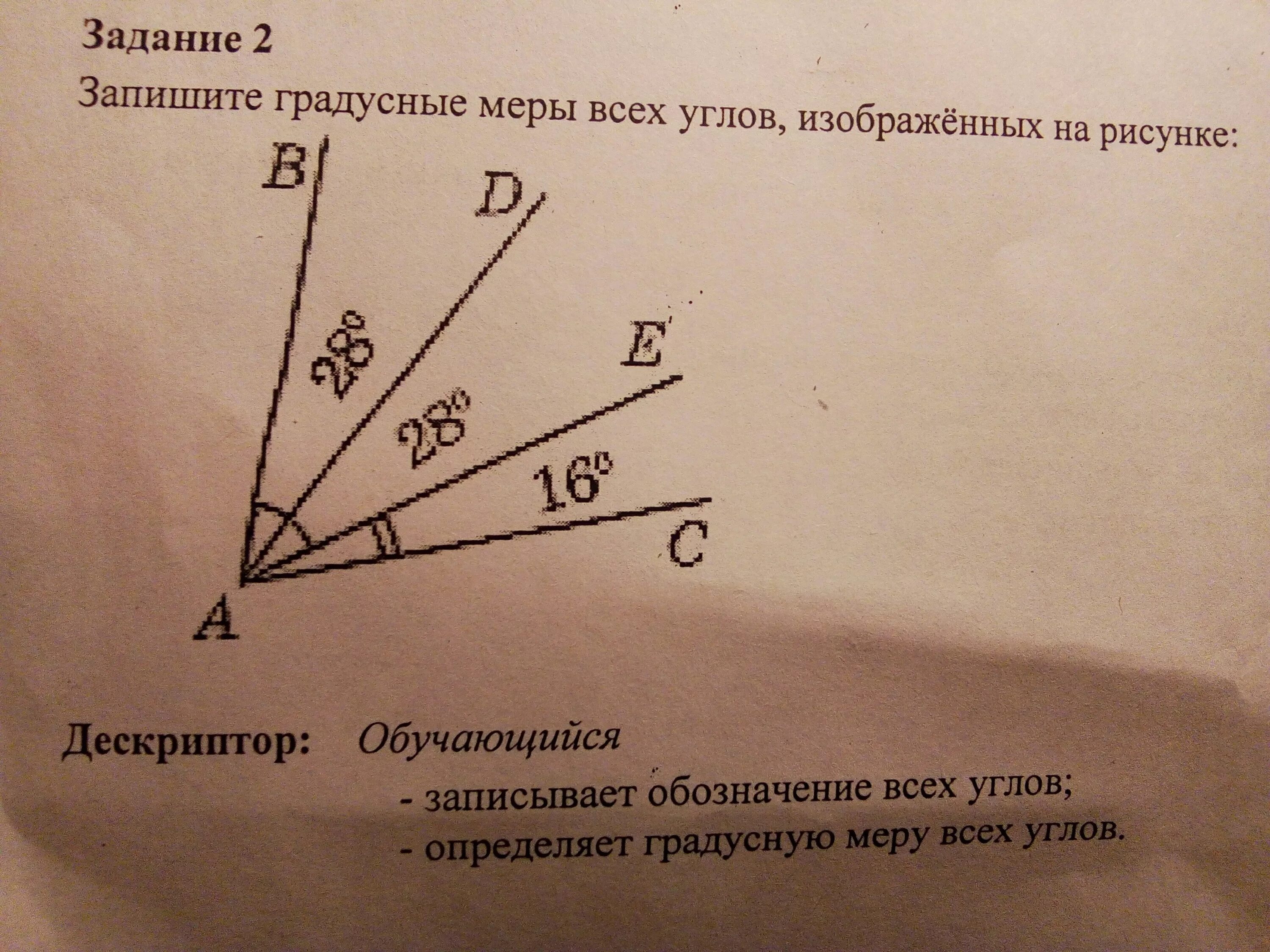 Определи градусную меру следующих углов