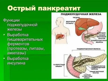 Лечение поджелудочной железы питание