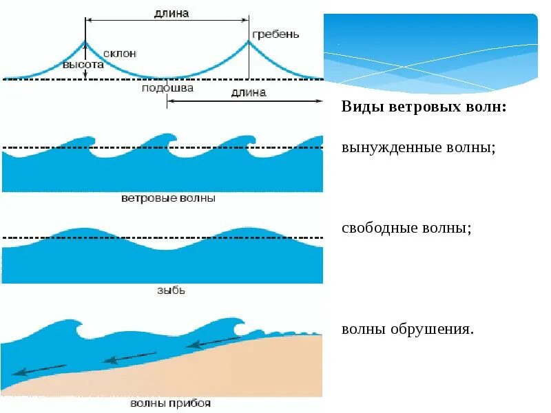 Элементы ветровой волны. Строение ветровых волн. Строение морской волны. Схема волны.