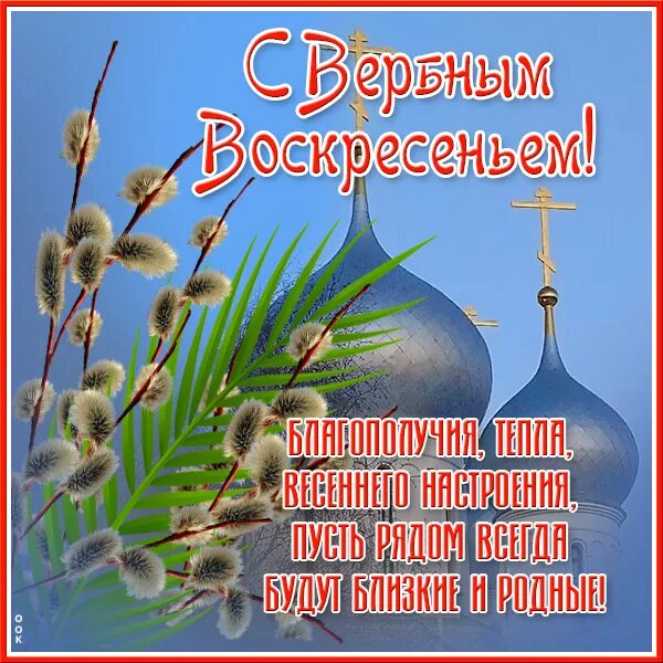 Вербное воскресенье картинки. Открытки с праздником Вербное воскресенье. С Вербным воскресеньем открытки красивые. Прости меня Вербное воскресенье.