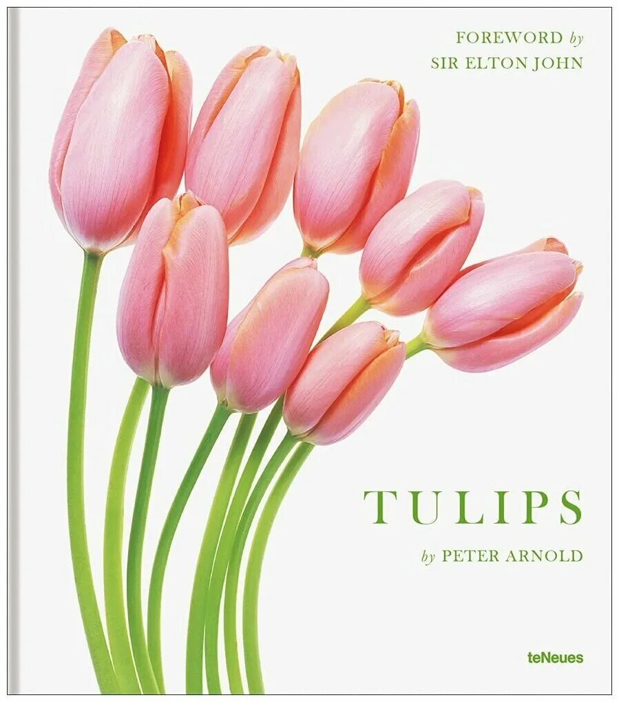 Tulips and books. Tulip перевод. Тюльпан перевод.