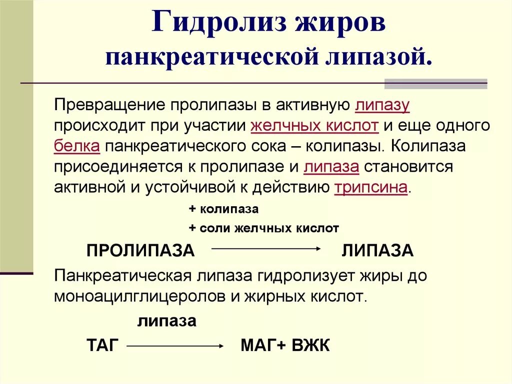 Гидролиз жира панкреатической липазы. Гидролиз таг панкреатической липазой. Гидролиз жиров липазой. Липаза гидролизует. Гидролиз жиров ферменты