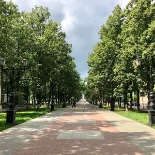 Фото аллея победы