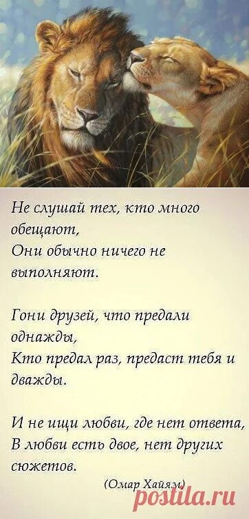 Человек много обещает