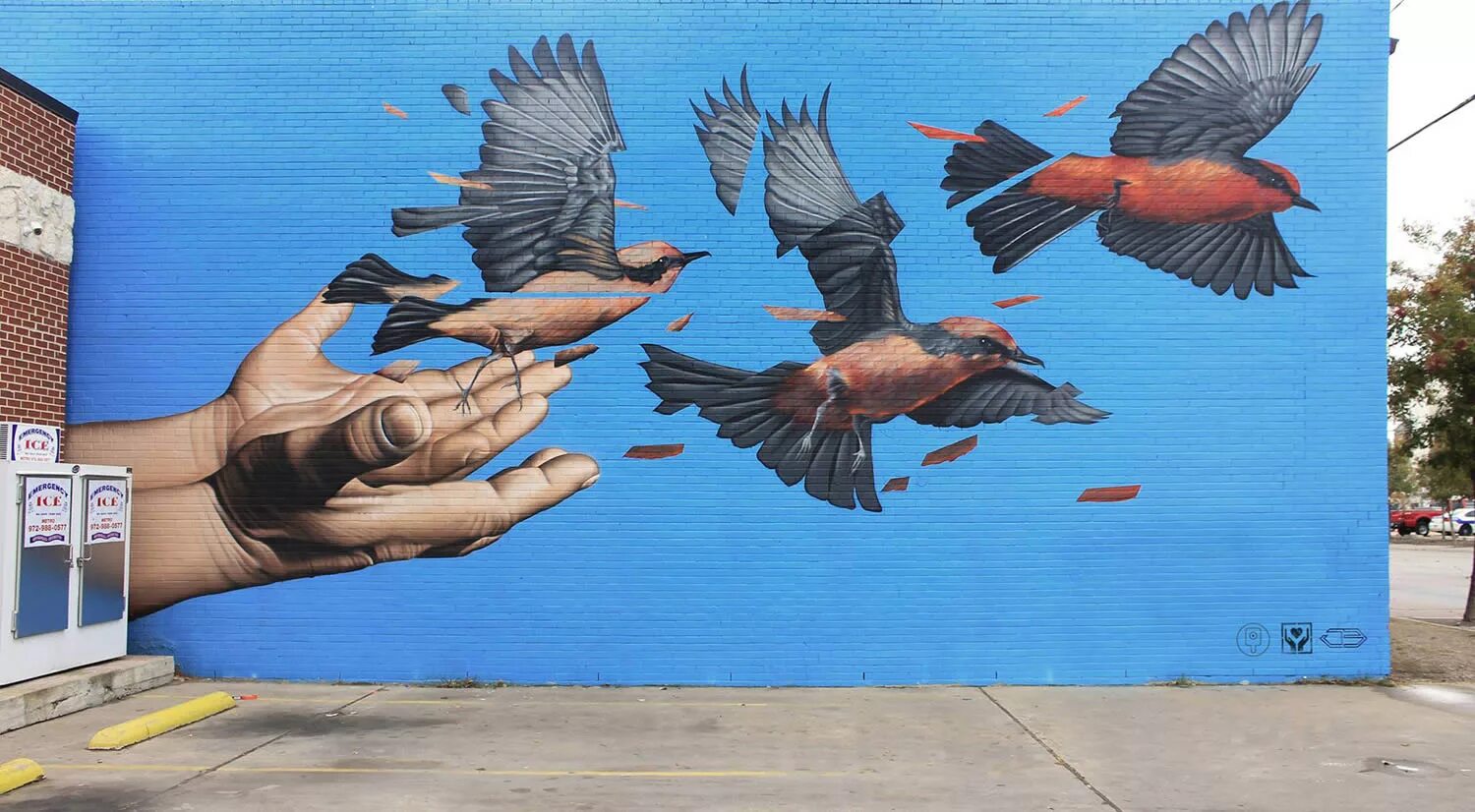 Птички стрит арта. Картины в стиле стрит арт нитками. Граффити бразилия птицы. Необычные краски. Граффити птиц.