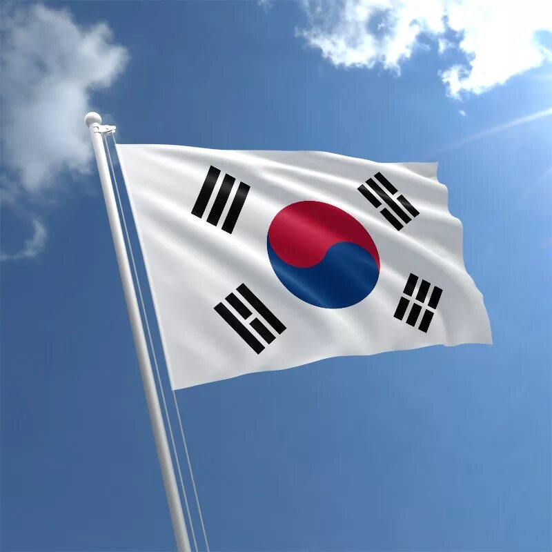 S flag
