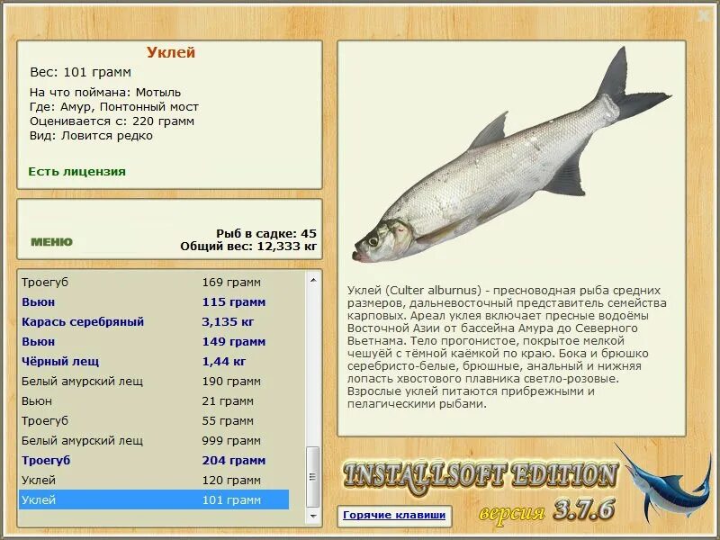 Максимальный вес ельца. Рыба рода плотвы 7 букв. Рыба рисунок. Язь озерный. Карповые рыбы.