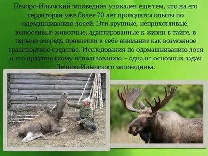 Заповедники и национальные парки республики коми