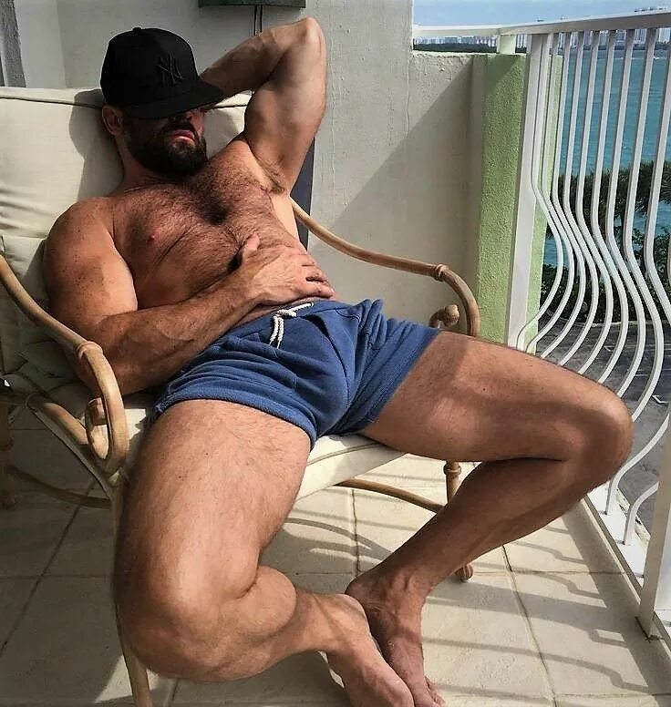 Dilf мужчины. Мужчина muscle hairy Bear.