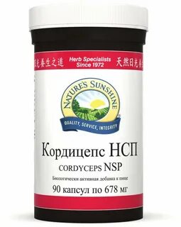 Nsp отзывы