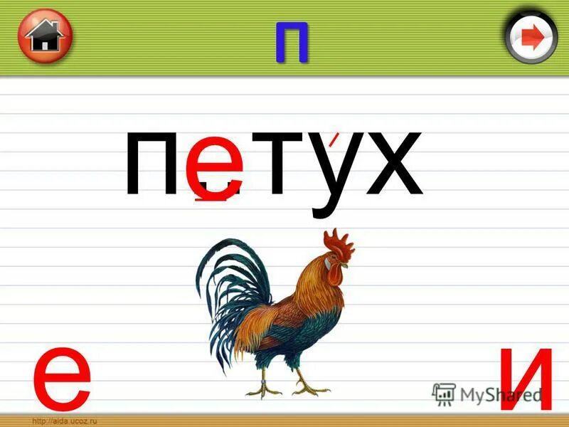 Прощание с азбукой буквы для оформления. Буква z. Буквы а б в г д е. Буквы а б в г д. Буква ш и щ.