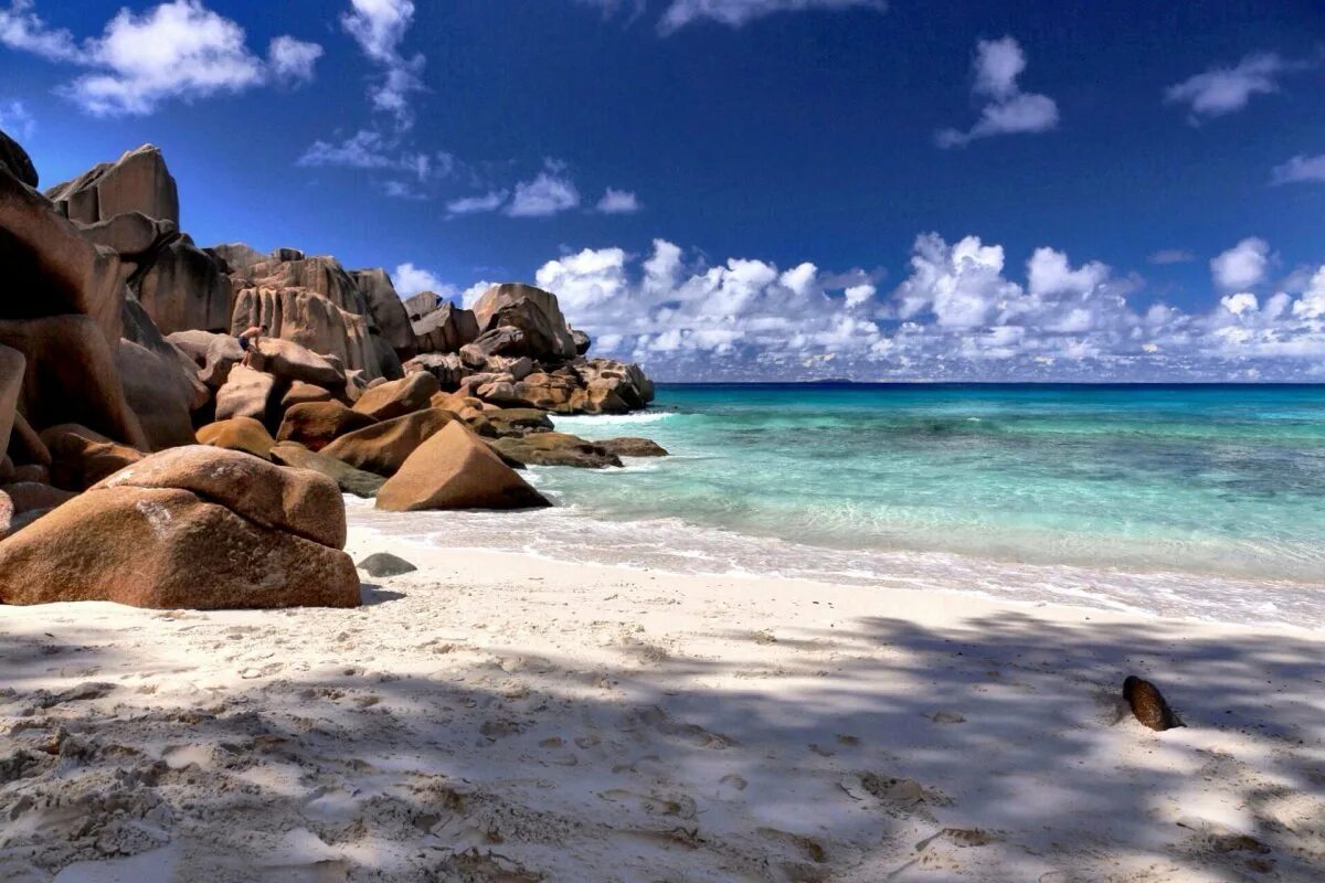 Plage sugar