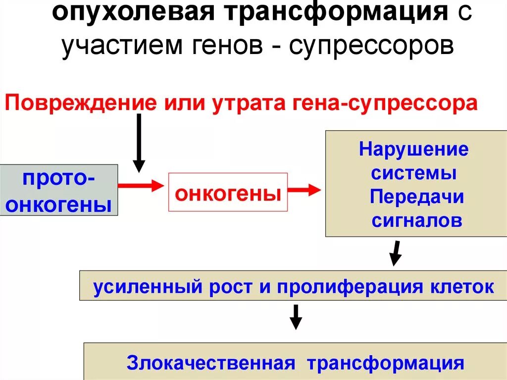 Ключевые механизмы злокачественной трансформации. Механизмы опухолевой трансформации клеток. Опухолевая трансформация. Злокачественная трансформация клеток.