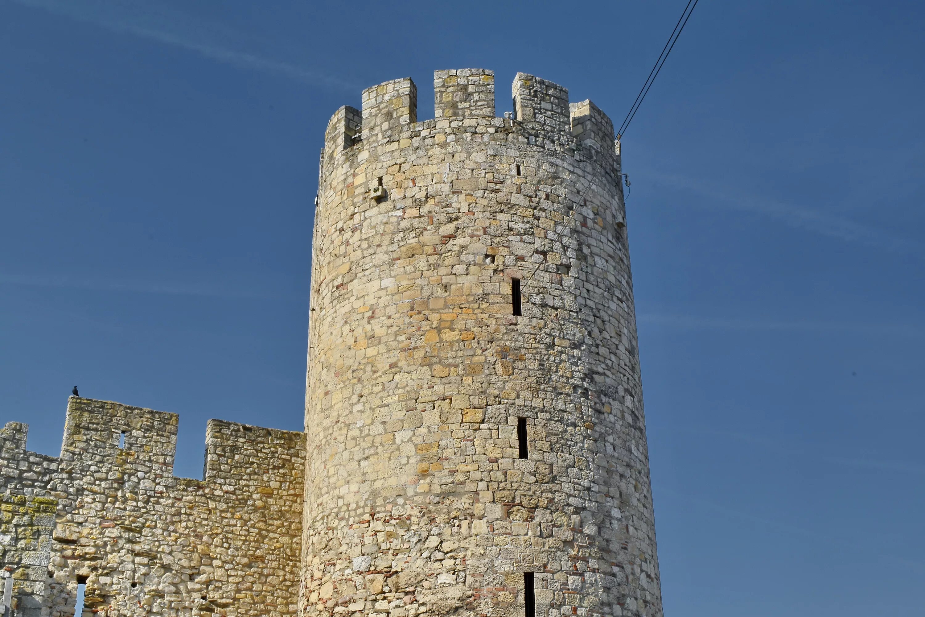 Castle tower